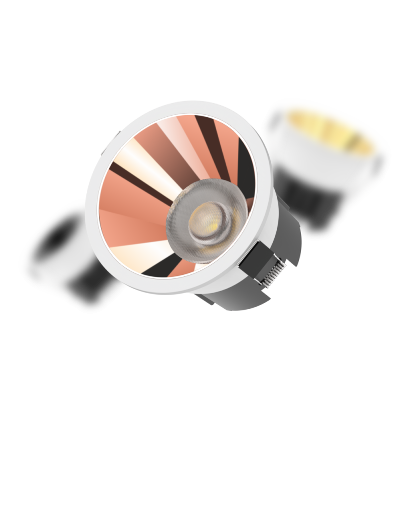 Exotic - Image 2